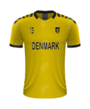 Denmark Soccer Club Team Wear Jersey