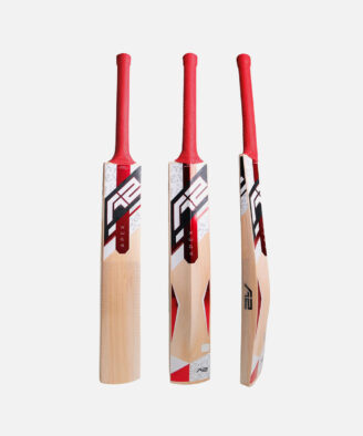 SS Kashmir Willow Impact Cricket Bat